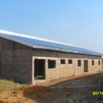 gala gala chantier 217